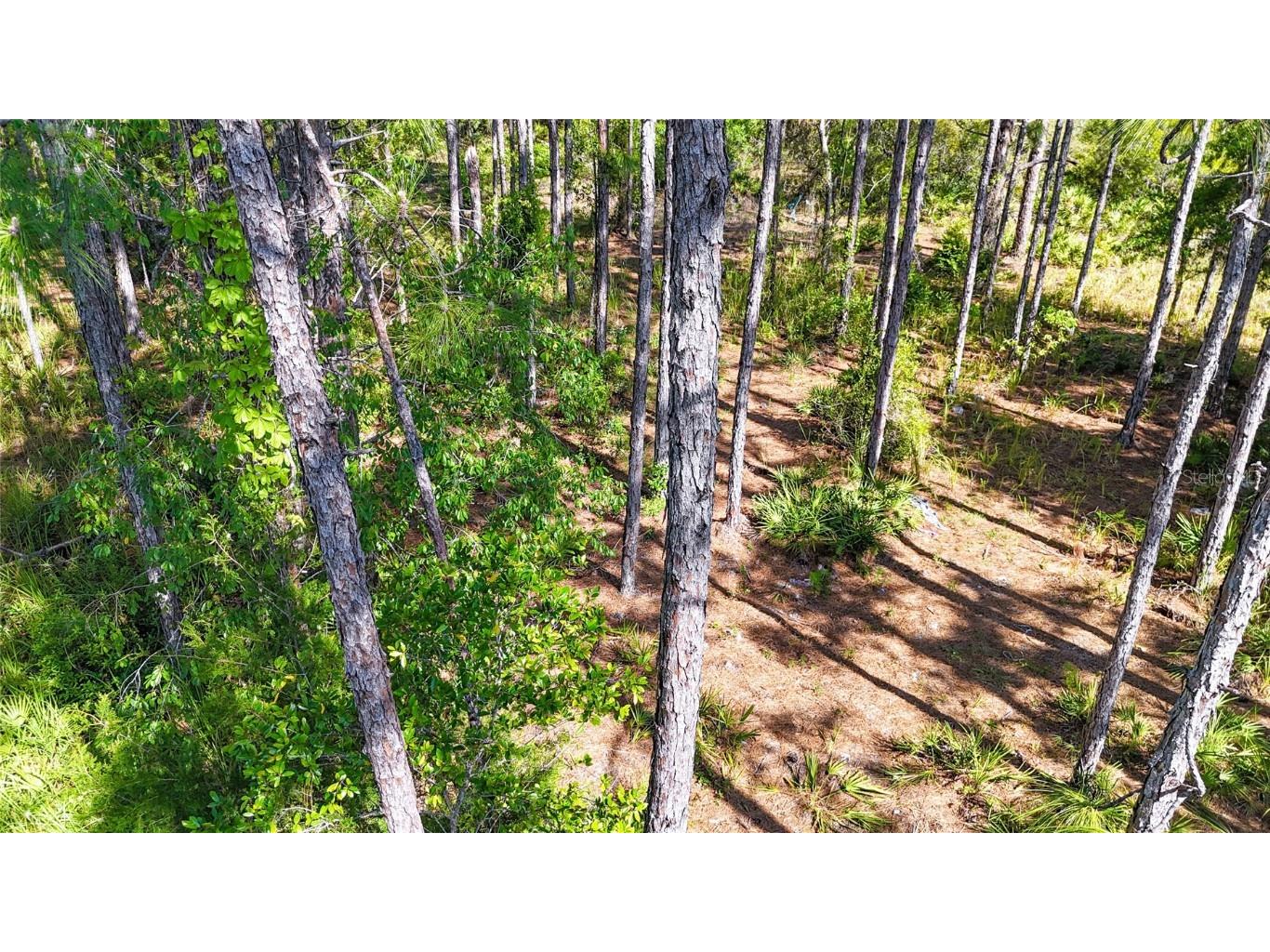 5631 S Atlantis Way Homosassa FL 34446 TB8379546 image18