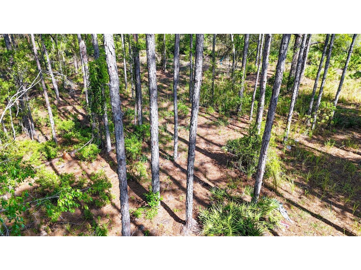 5631 S Atlantis Way Homosassa FL 34446 TB8379546 image19