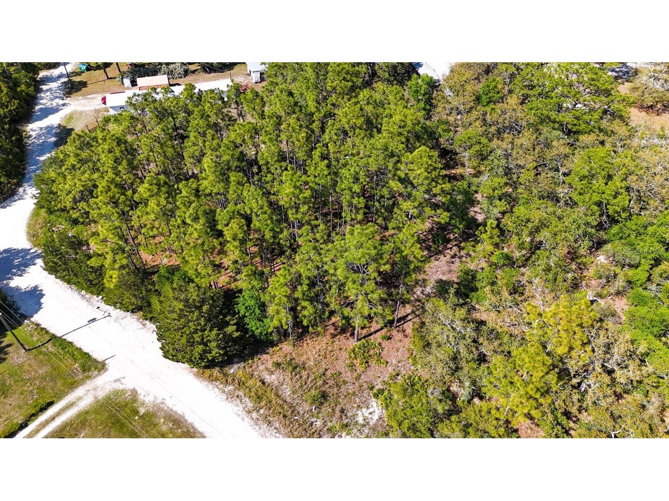 5631 S Atlantis Way Homosassa FL 34446 TB8379546 image2