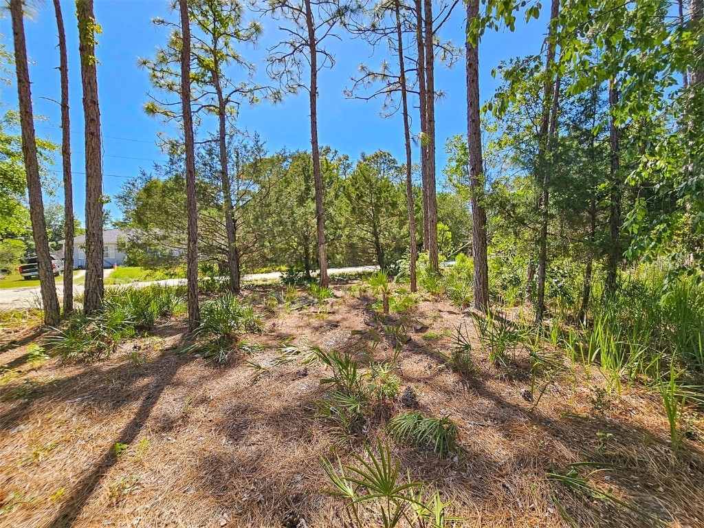 5631 S Atlantis Way Homosassa FL 34446 TB8379546 image20