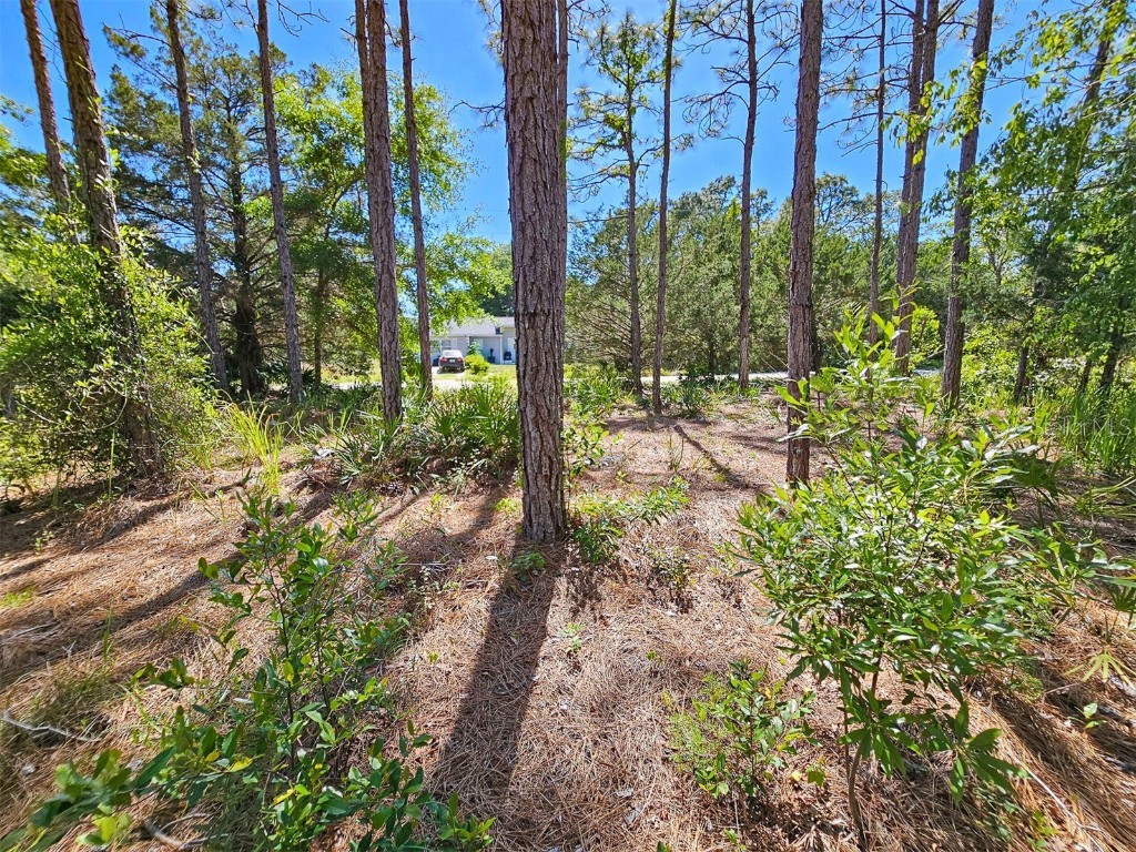 5631 S Atlantis Way Homosassa FL 34446 TB8379546 image21