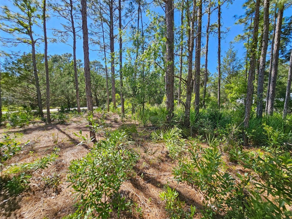 5631 S Atlantis Way Homosassa FL 34446 TB8379546 image22