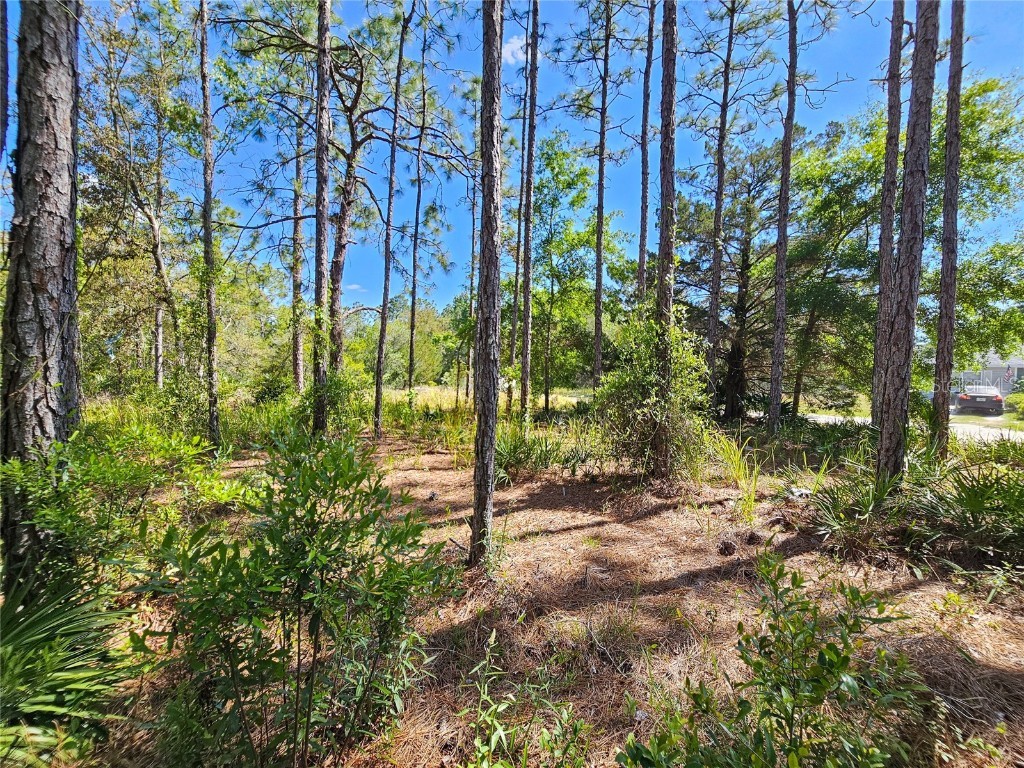 5631 S Atlantis Way Homosassa FL 34446 TB8379546 image23