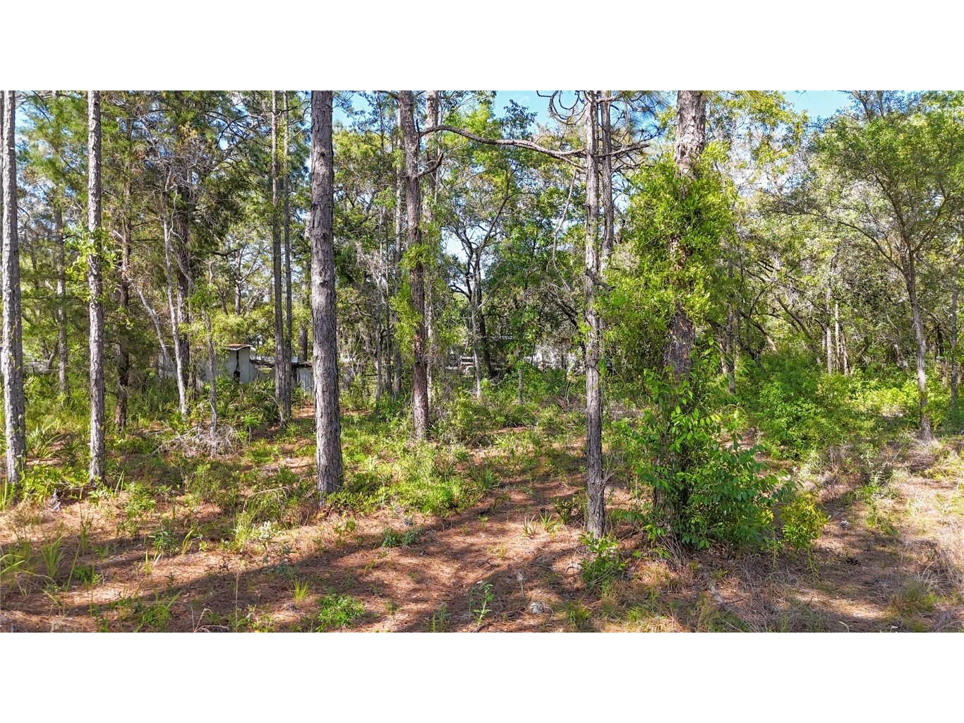 5631 S Atlantis Way Homosassa FL 34446 TB8379546 image24