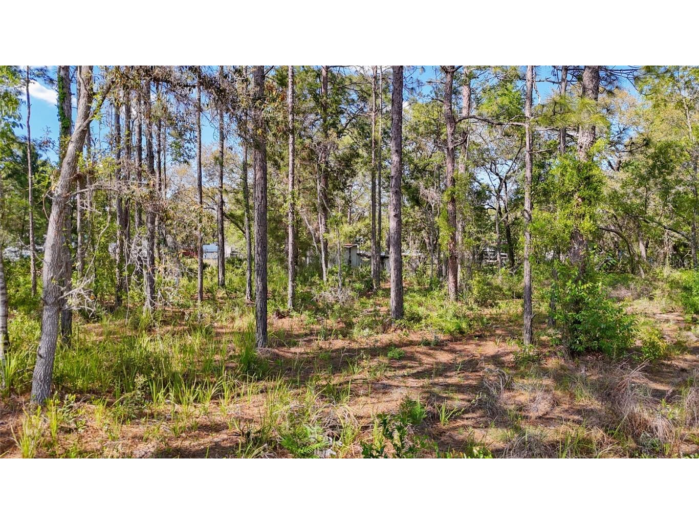 5631 S Atlantis Way Homosassa FL 34446 TB8379546 image25