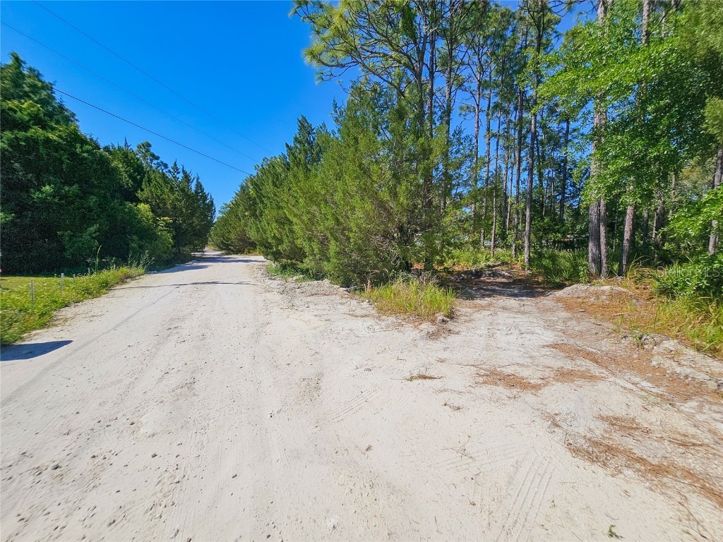 5631 S Atlantis Way Homosassa FL 34446 TB8379546 image26