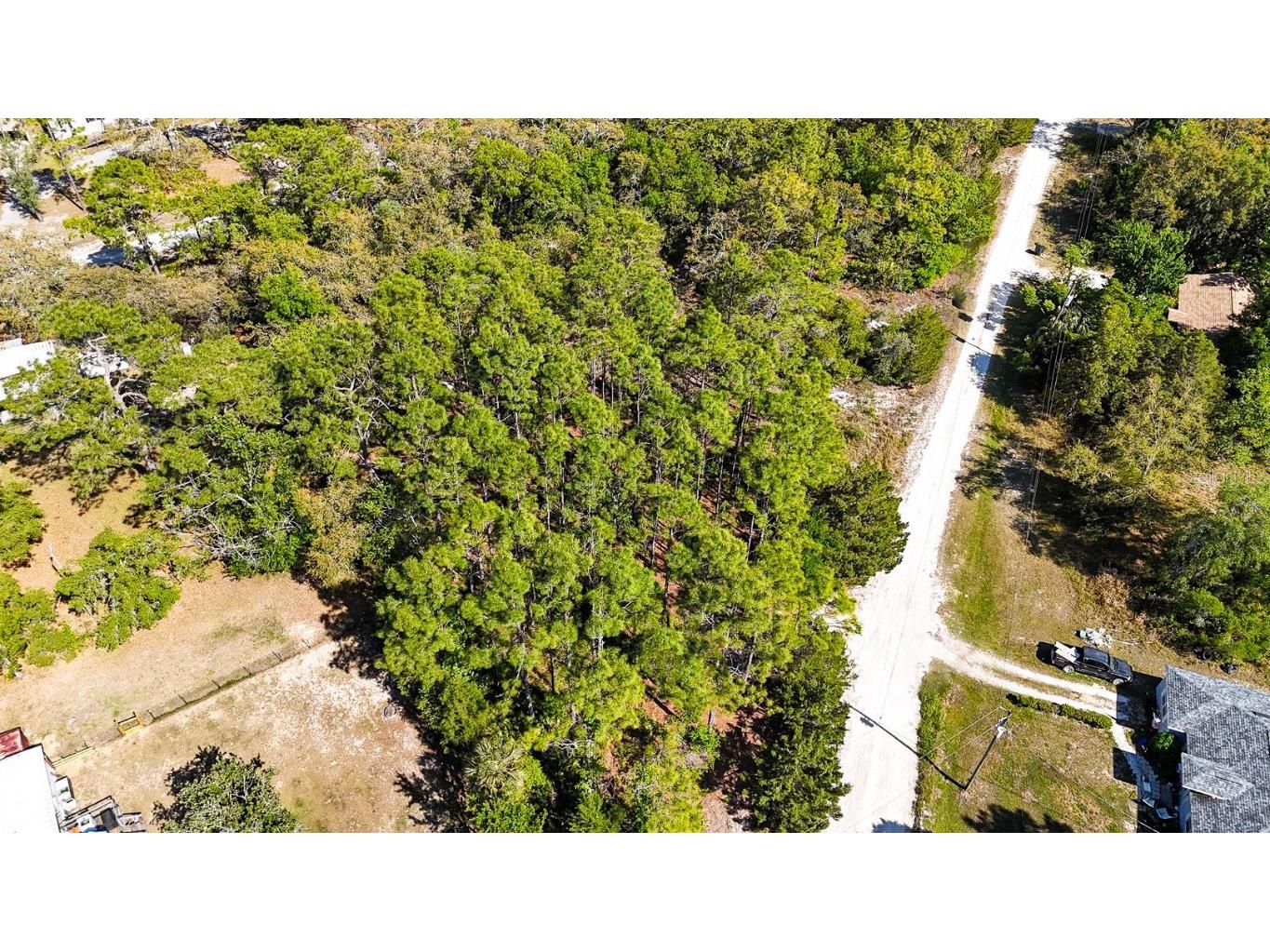 5631 S Atlantis Way Homosassa FL 34446 TB8379546 image3