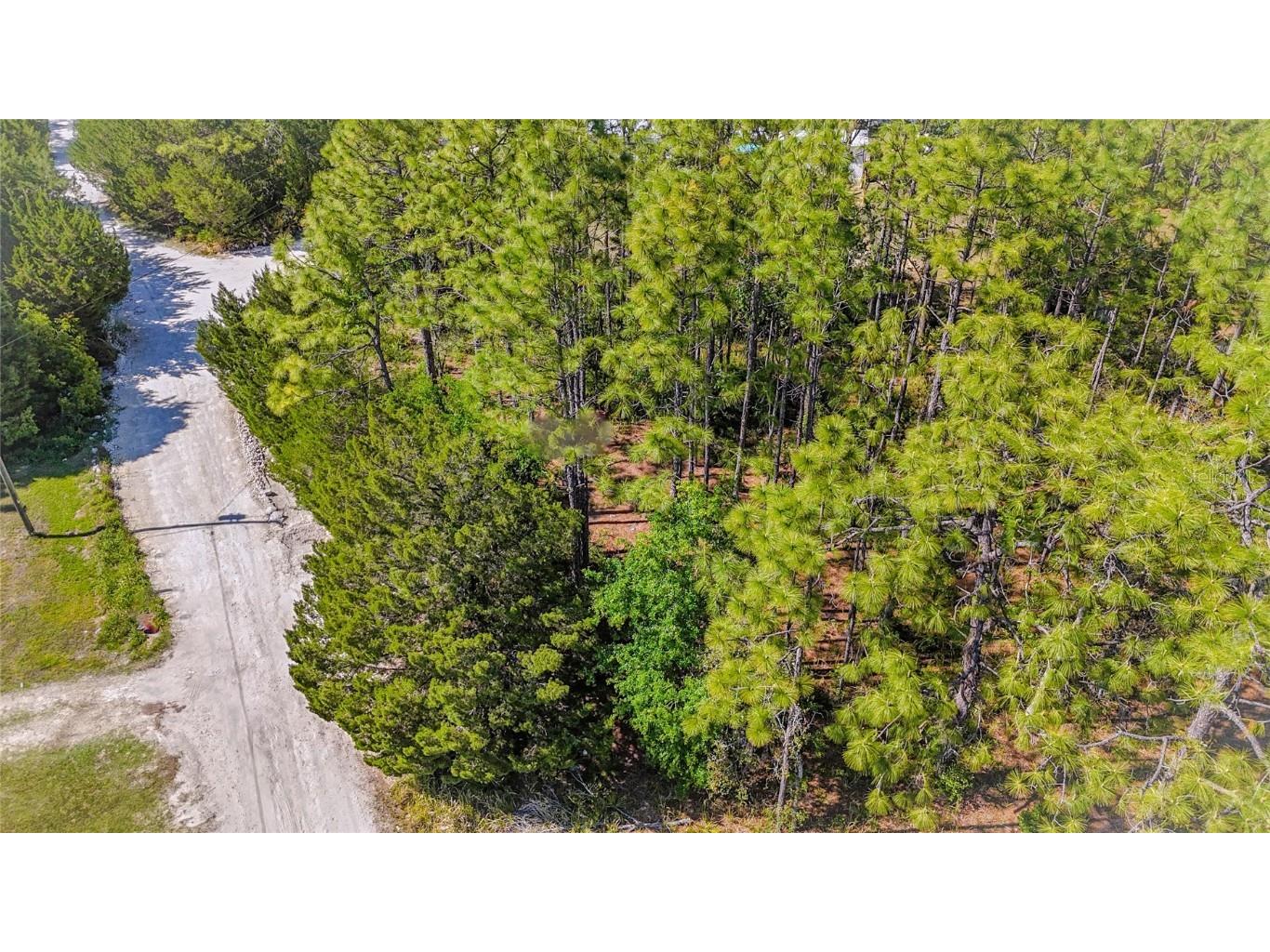 5631 S Atlantis Way Homosassa FL 34446 TB8379546 image5