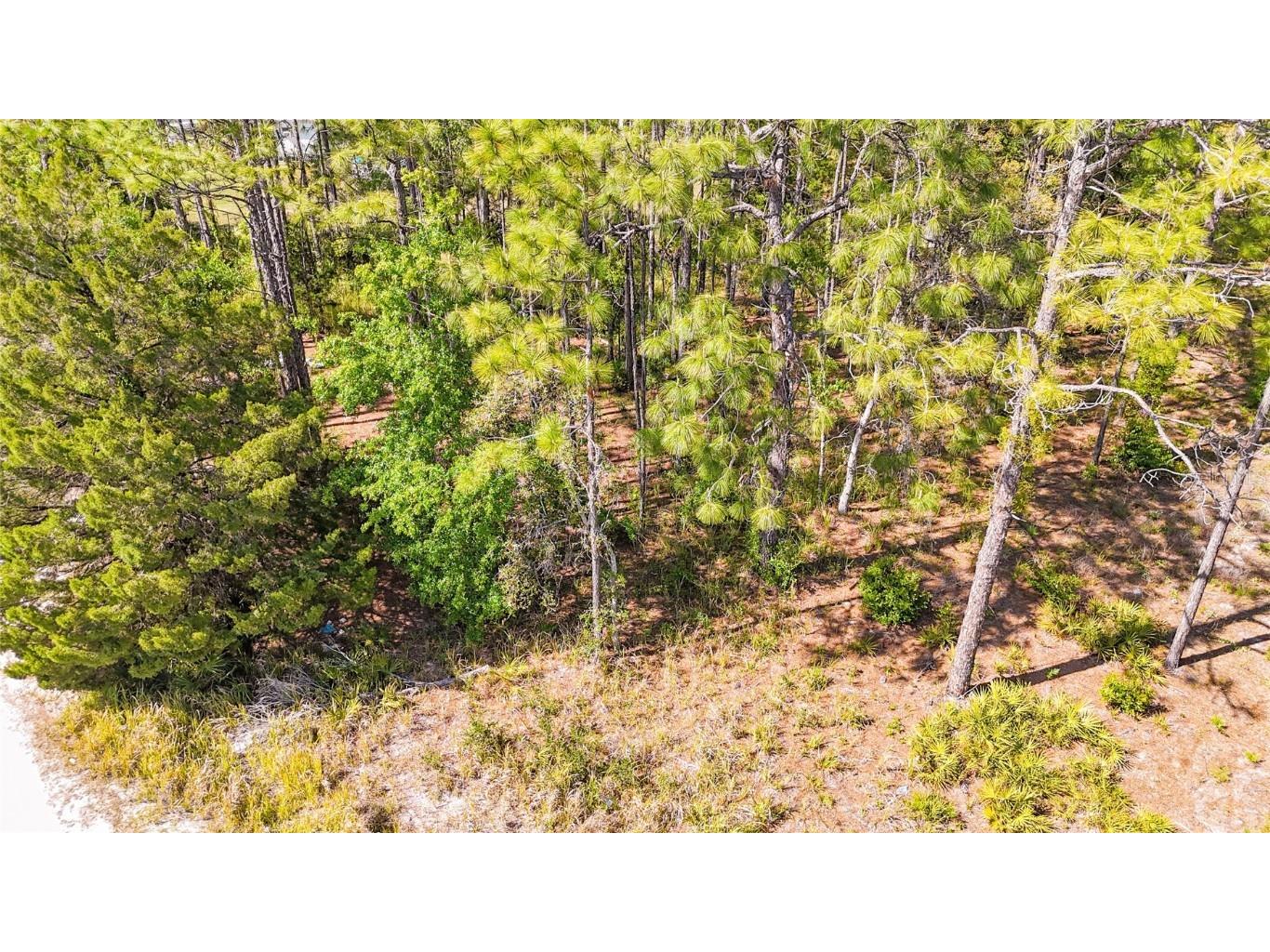 5631 S Atlantis Way Homosassa FL 34446 TB8379546 image6