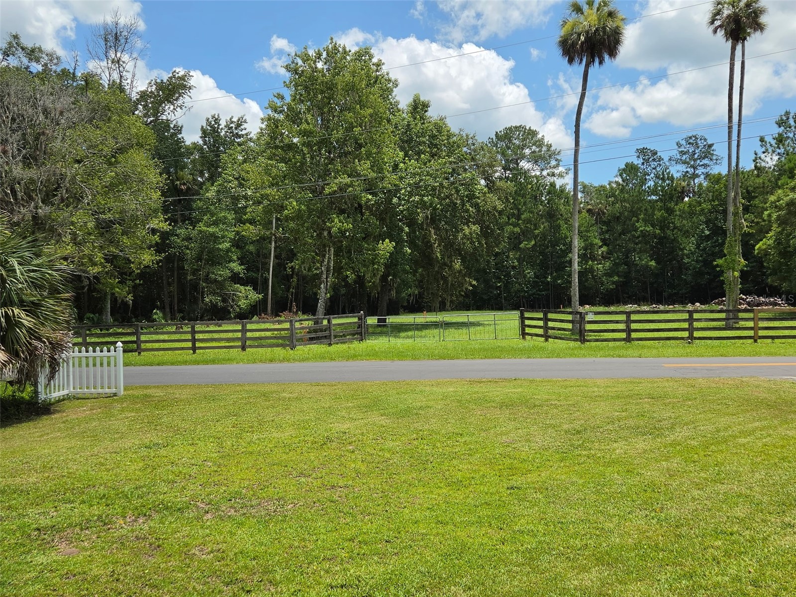 56314 Blue Creek Road Astor FL 32102 - ST. JOHNS RIVER FC319729 image20