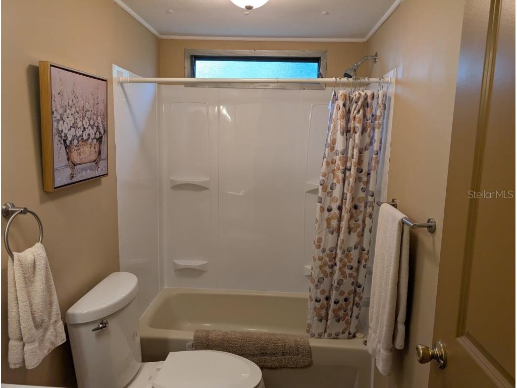 56314 Blue Creek Road Astor FL 32102 R4909874 image21