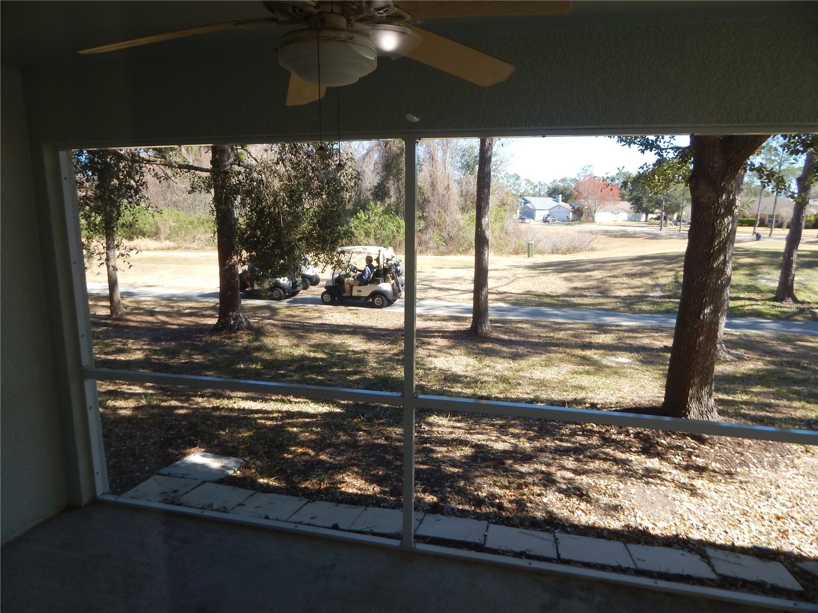 5632 Autumn Shire Drive Zephyrhills FL 33541 TB8474697 image13