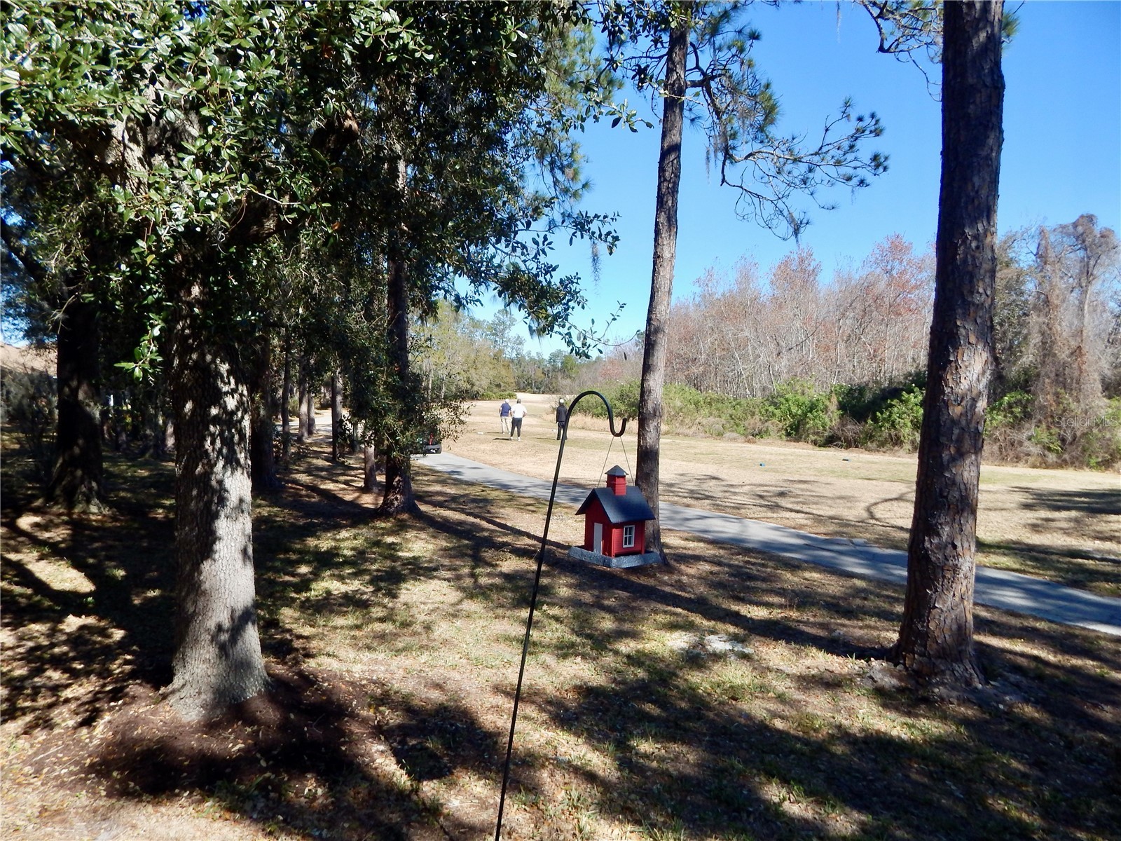 5632 Autumn Shire Drive Zephyrhills FL 33541 TB8474697 image4