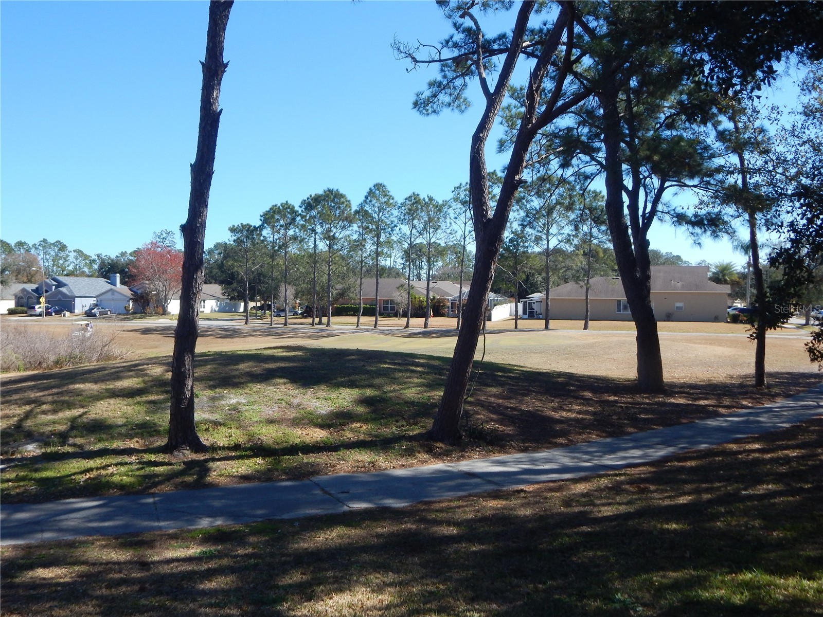 5632 Autumn Shire Drive Zephyrhills FL 33541 TB8474697 image5