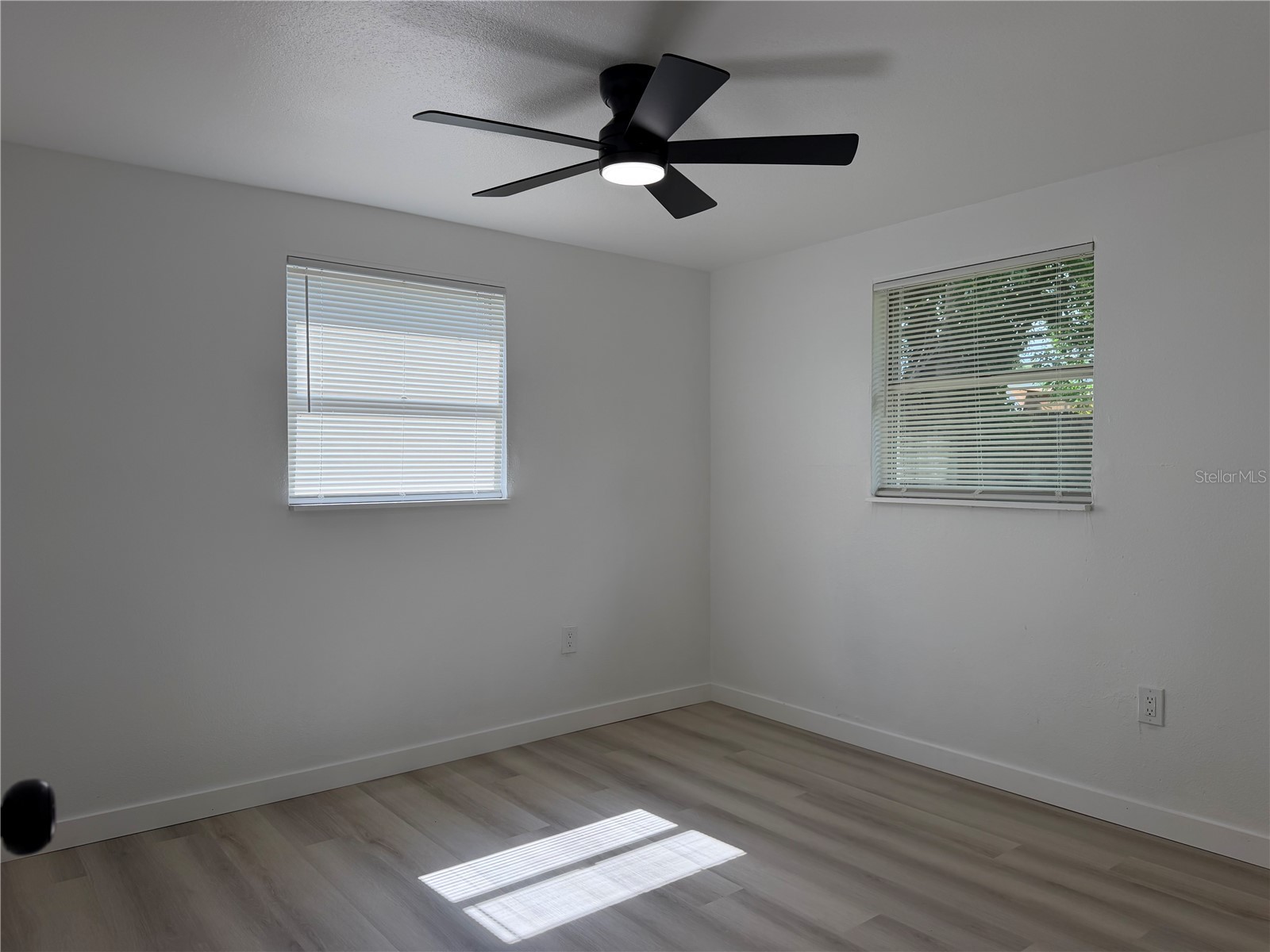 5632 Front Drive Holiday FL 34690 TB8526681 image8