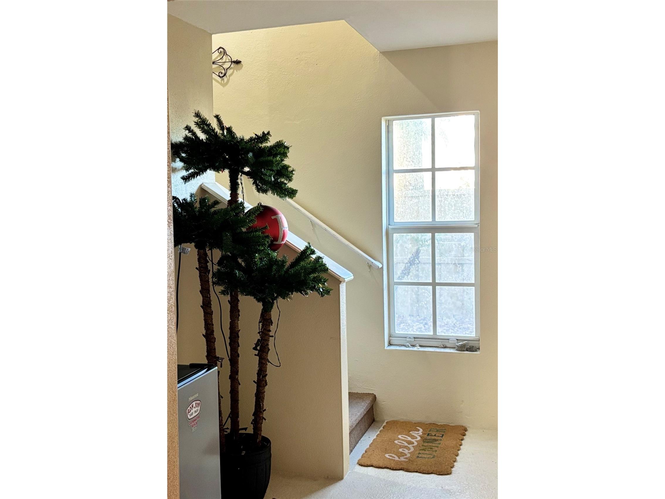 5633 Blackfin Drive New Port Richey FL 34652 TB8484756 image13