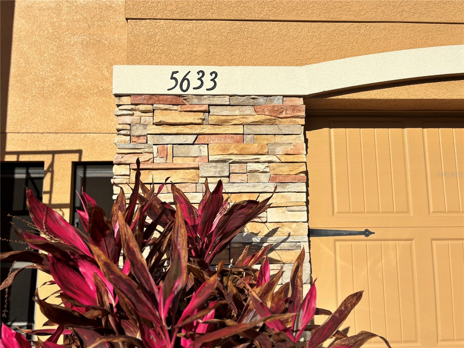 5633 Blackfin Drive New Port Richey FL 34652 TB8484756 image2