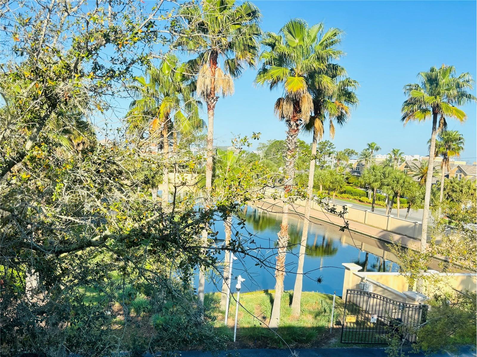 5633 Blackfin Drive New Port Richey FL 34652 TB8484756 image30