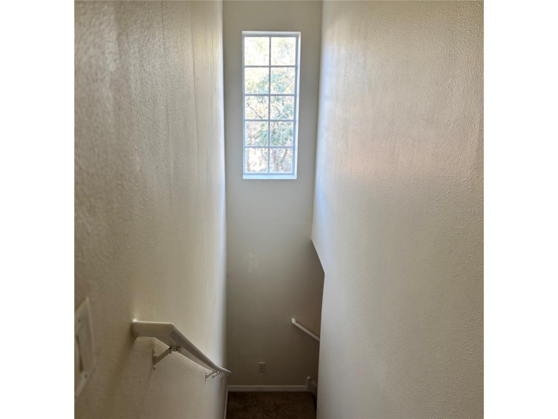 5633 Blackfin Drive New Port Richey FL 34652 TB8484756 image38