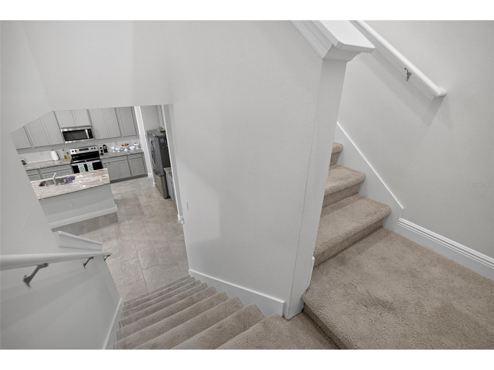 5633 Hawks Cay Street Apollo Beach FL 33572 TB8526775 image23