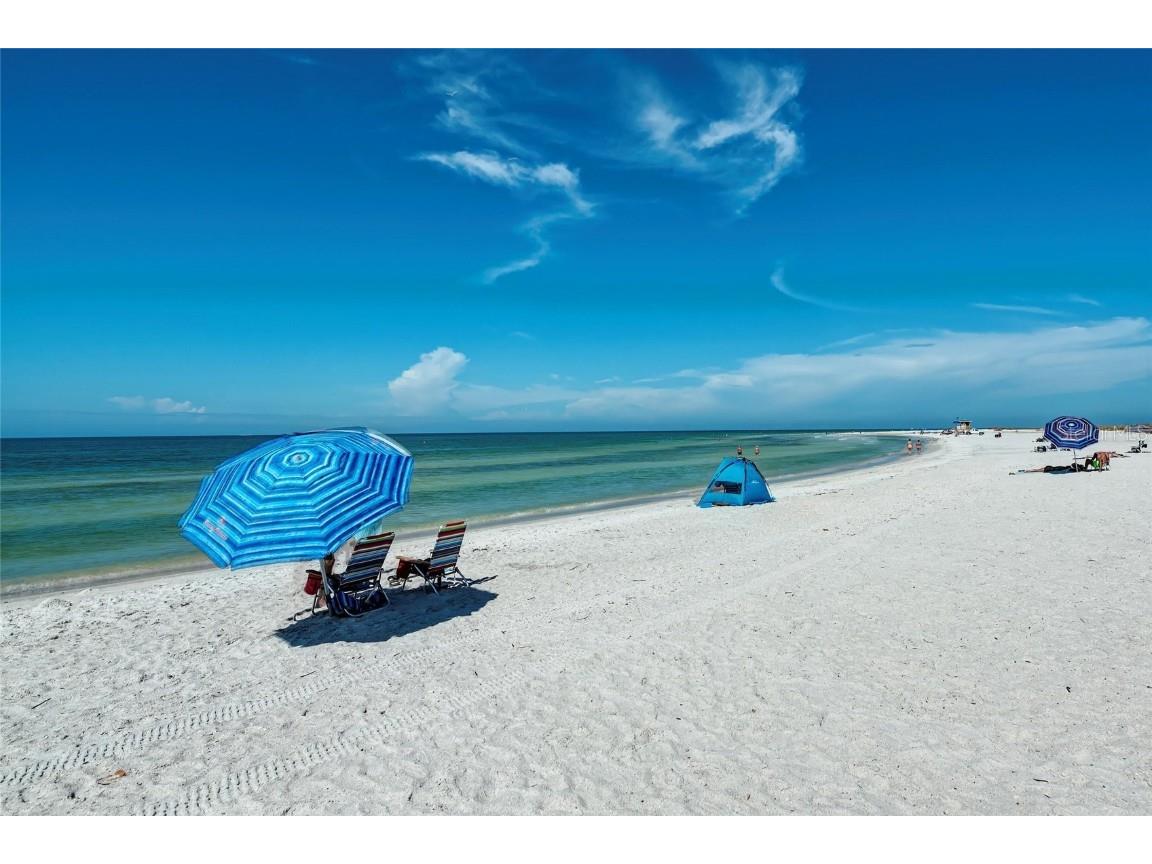 5633 Monte Rosso Road Sarasota FL 34243 TB8425275 image78