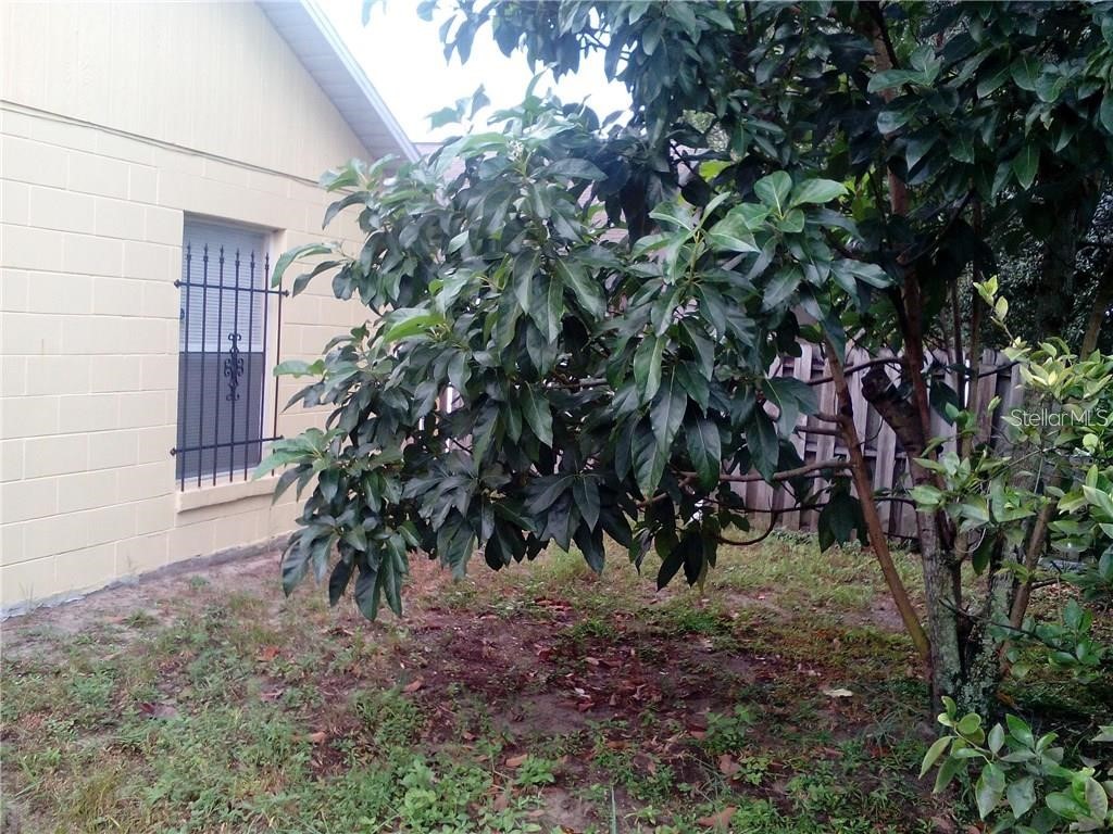 5633 Piney Ridge Drive Orlando FL 32808 O6276278 image2