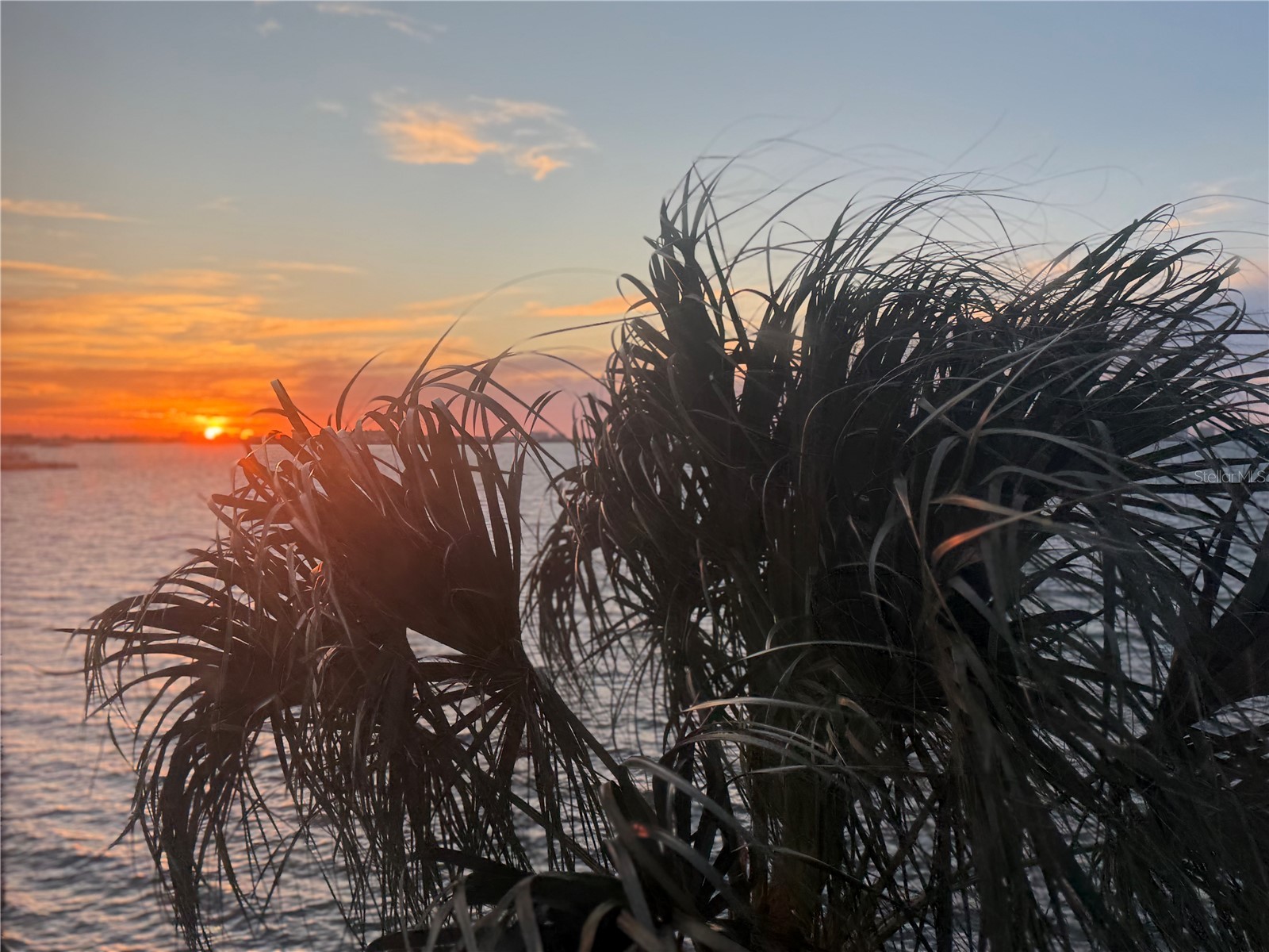 5633 Puerta Del Sol Boulevard S #307 Saint Petersburg FL 33715 - INTRA-COASTAL TB8523049 image47
