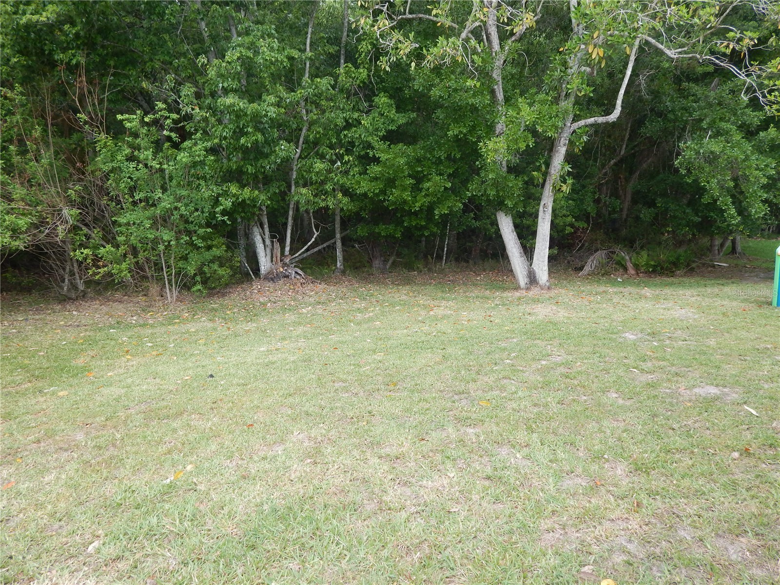 5634 Donnelly Circle Orlando FL 32821 O6402168 image13