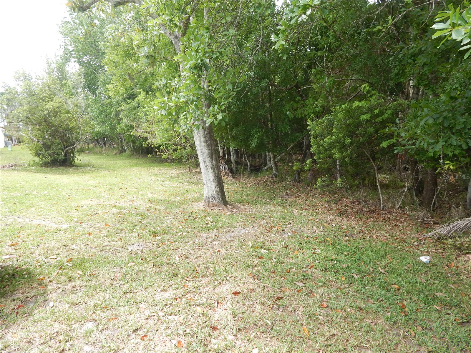 5634 Donnelly Circle Orlando FL 32821 O6402168 image14