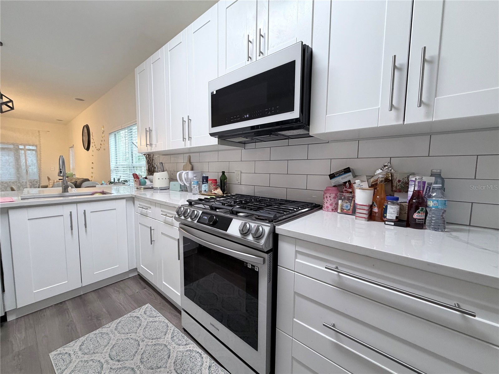 5634 Tanagerlake Road Lithia FL 33547 TB8461179 image19