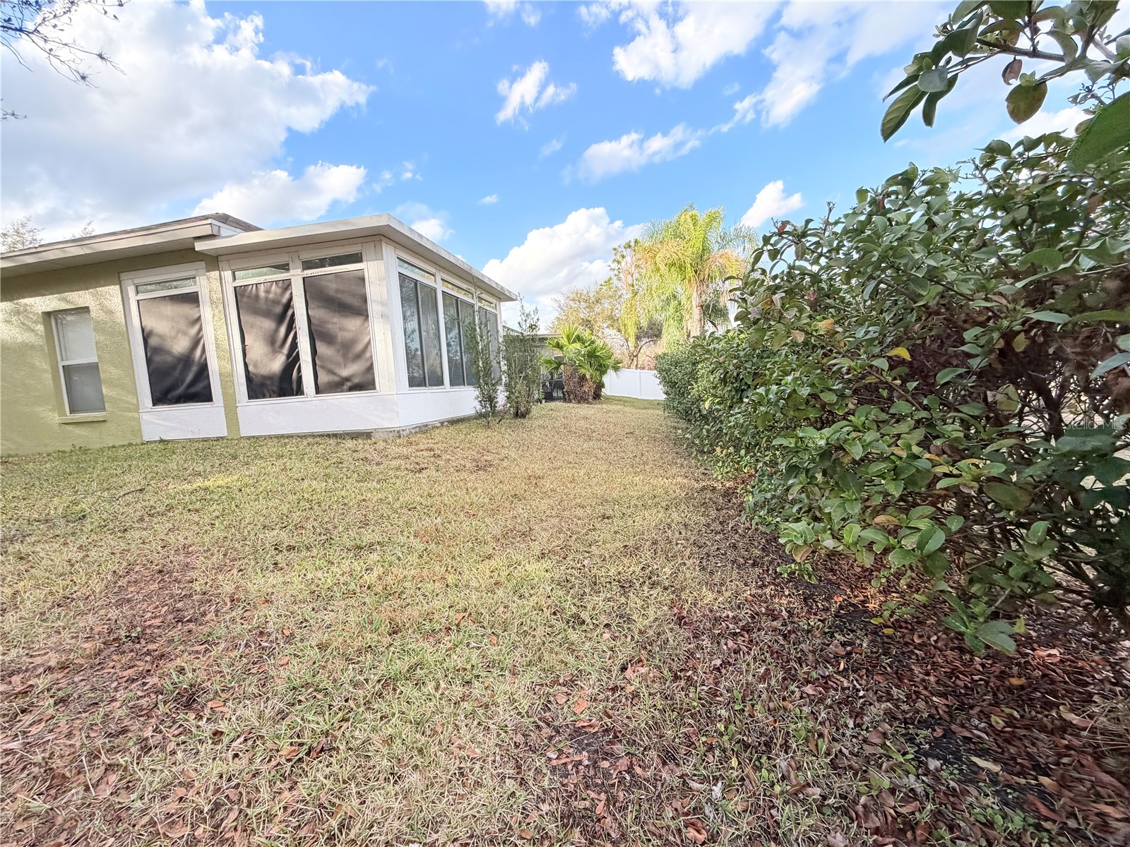 5634 Tanagerlake Road Lithia FL 33547 TB8461179 image41
