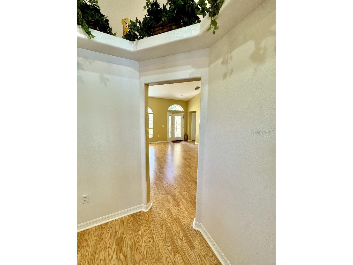 5634 Whitebark Drive Wesley Chapel FL 33543 TB8511519 image14