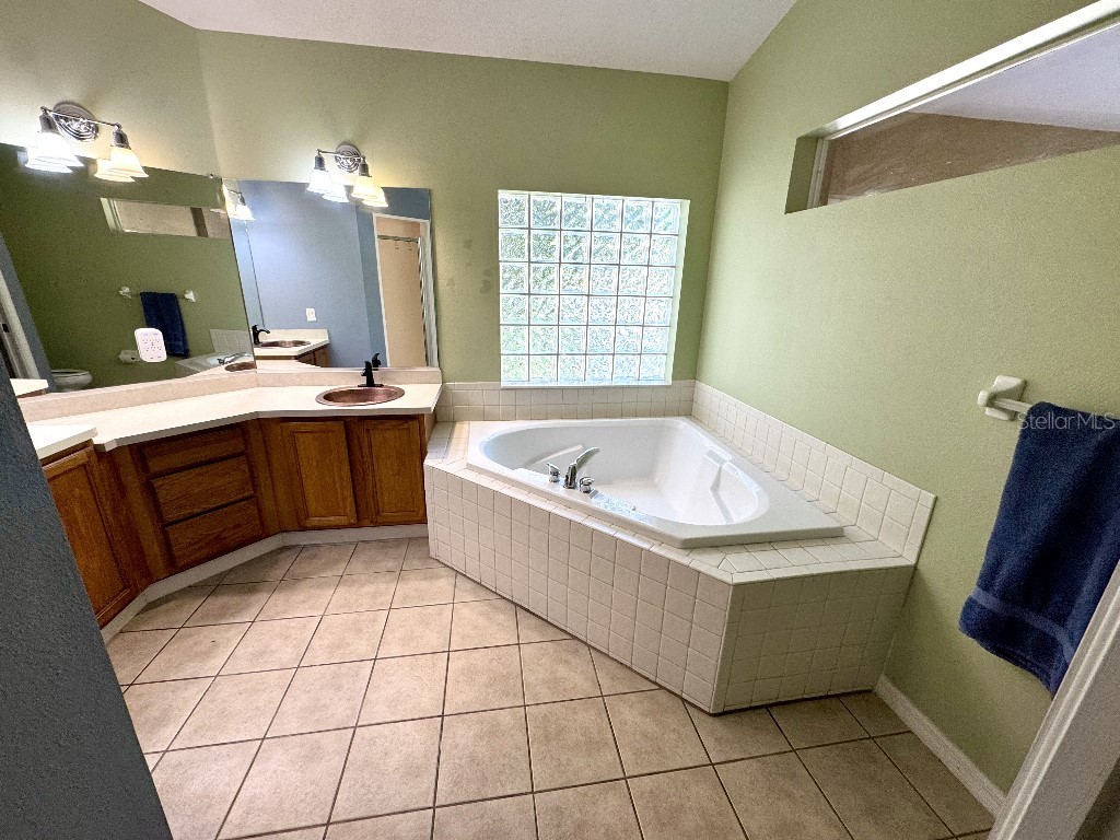 5634 Whitebark Drive Wesley Chapel FL 33543 TB8511519 image17