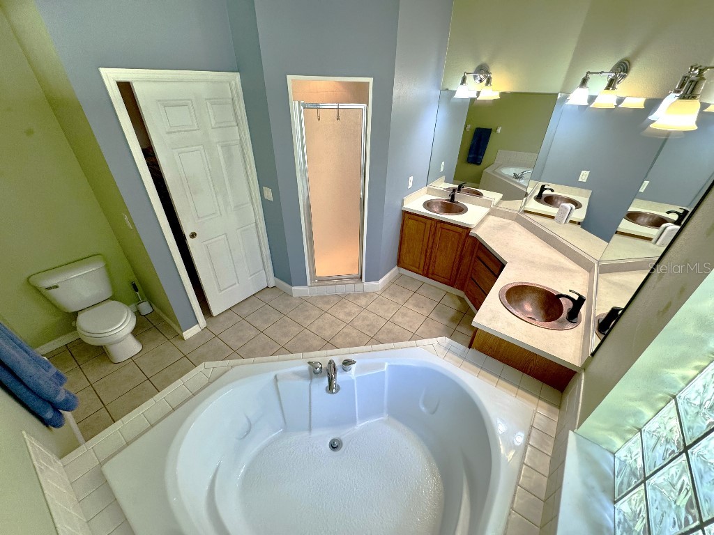 5634 Whitebark Drive Wesley Chapel FL 33543 TB8511519 image18