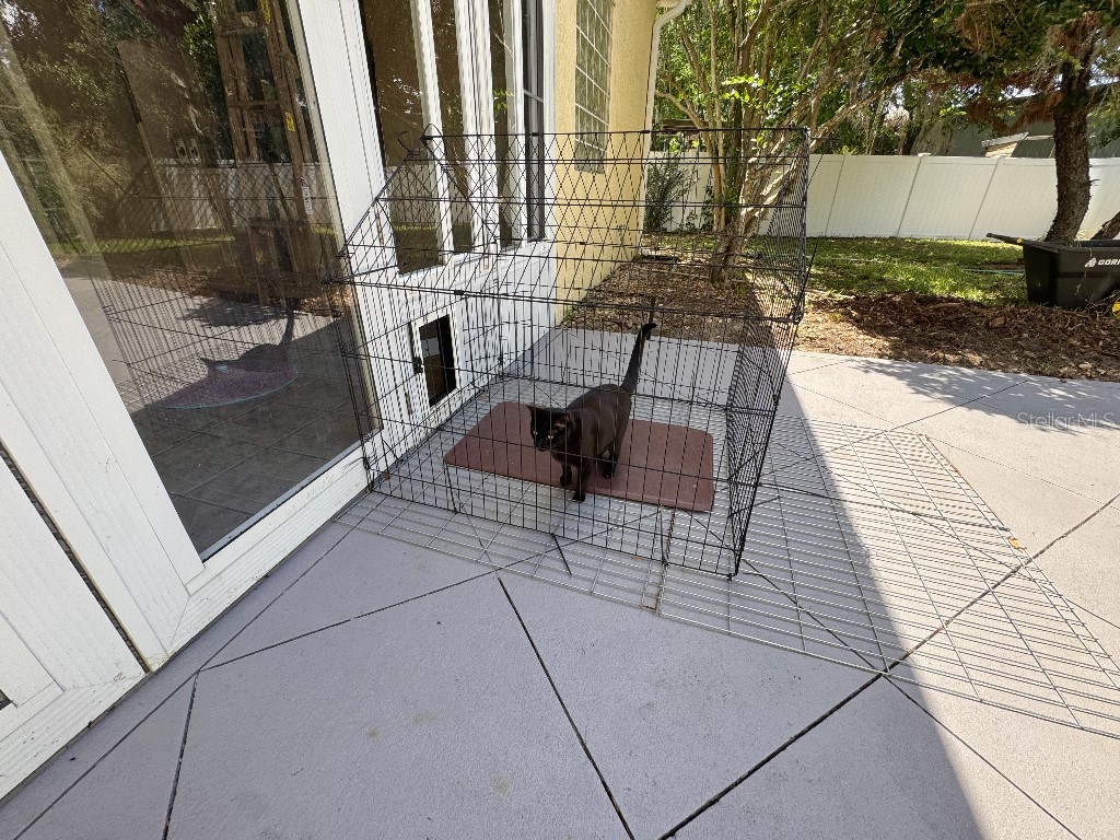 5634 Whitebark Drive Wesley Chapel FL 33543 TB8511519 image24
