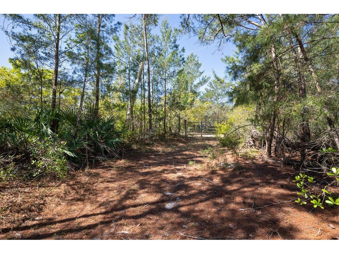 5635 Barna Avenue Titusville FL 32780 O6098699 image1