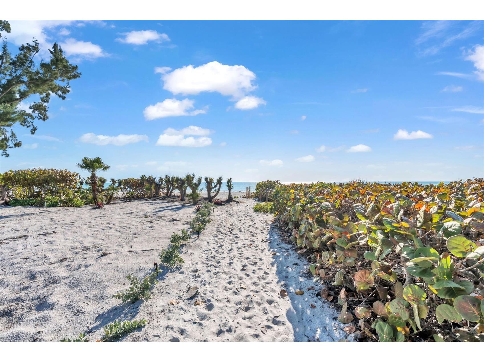 5635 Gulf Of Mexico Drive #202 Longboat Key FL 34228 - GULF OF MEXICO A4683336 image52