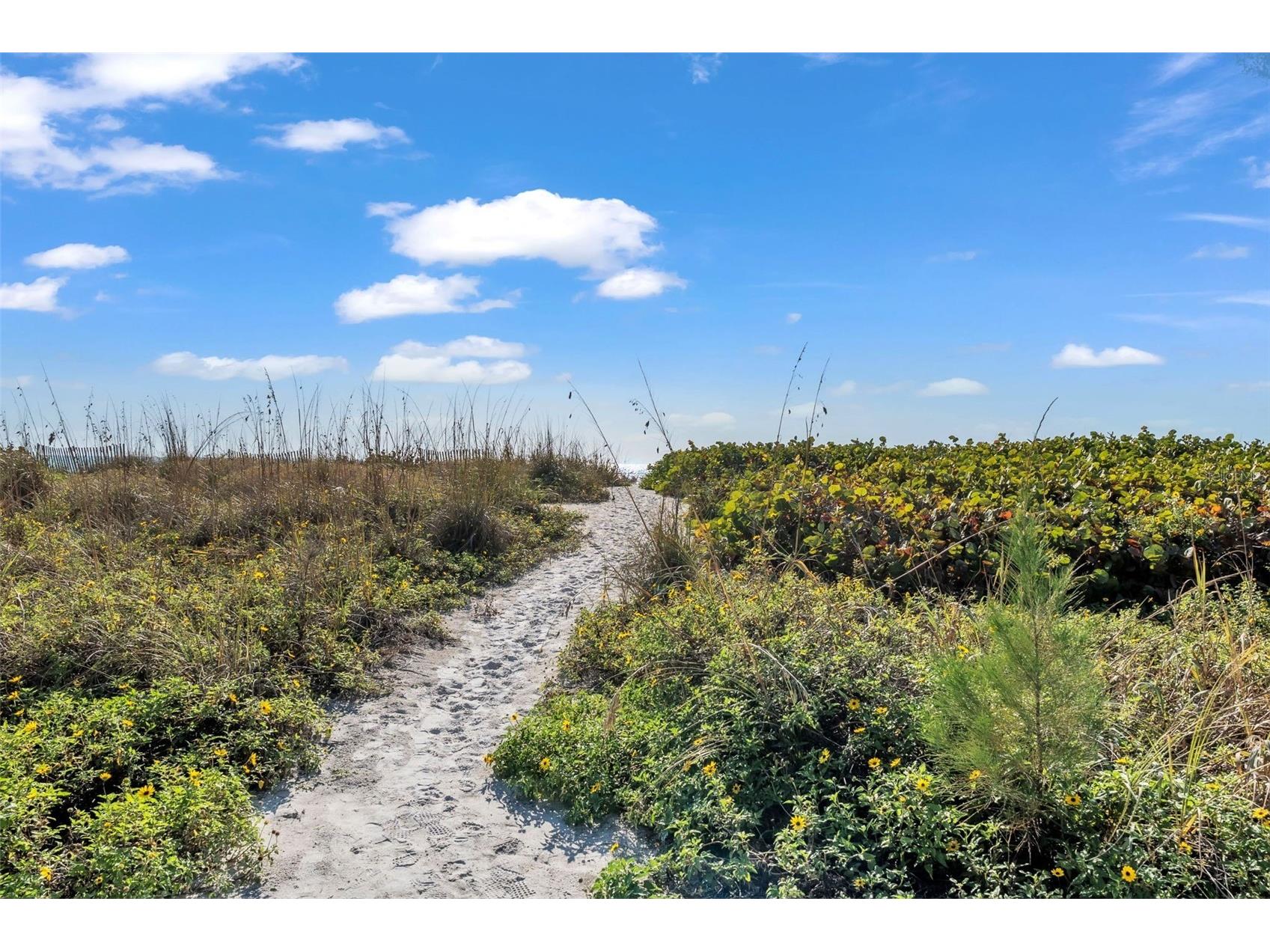 5635 Gulf Of Mexico Drive #202 Longboat Key FL 34228 - GULF OF MEXICO A4683336 image54