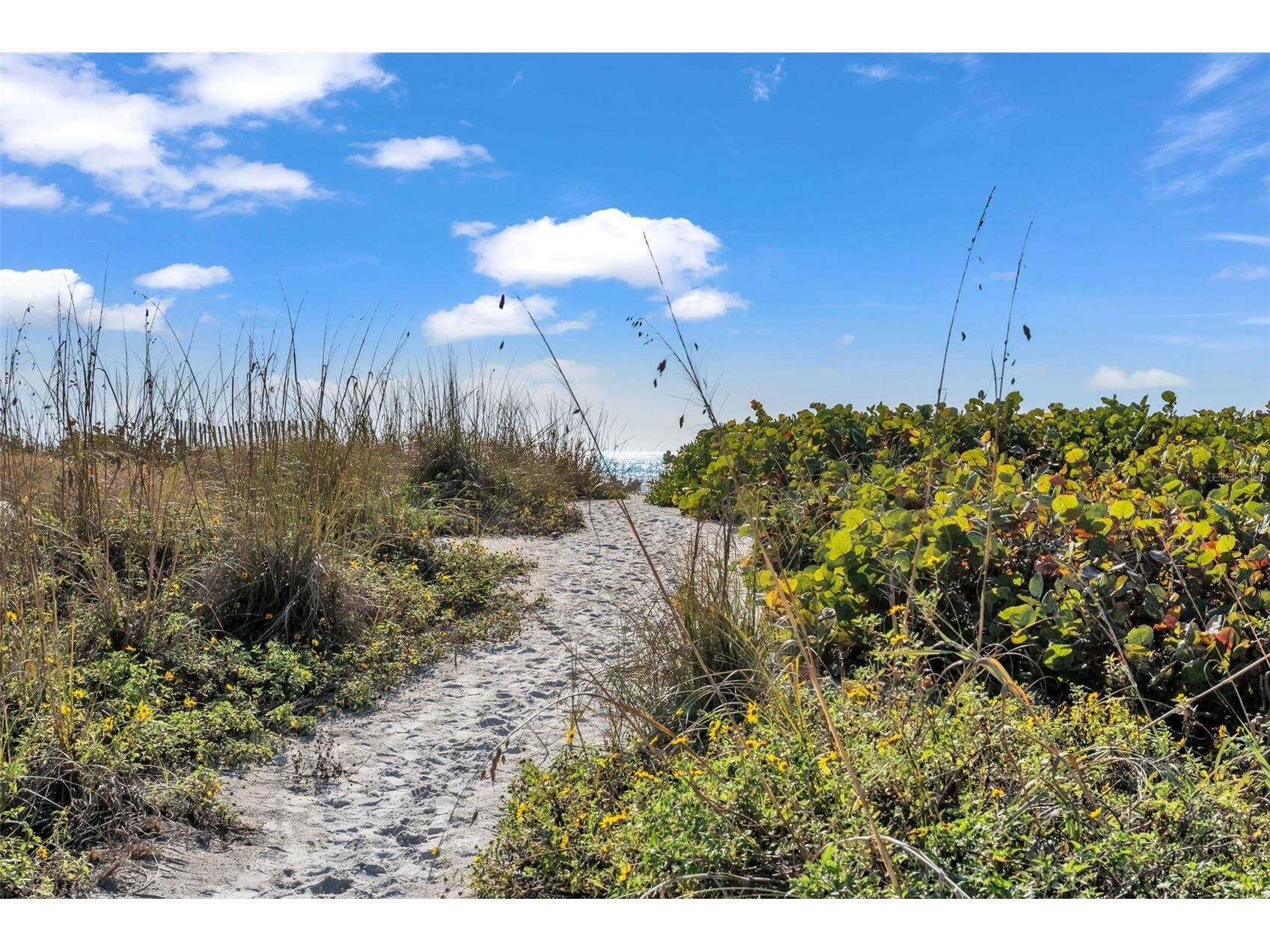 5635 Gulf Of Mexico Drive #202 Longboat Key FL 34228 - GULF OF MEXICO A4683336 image55