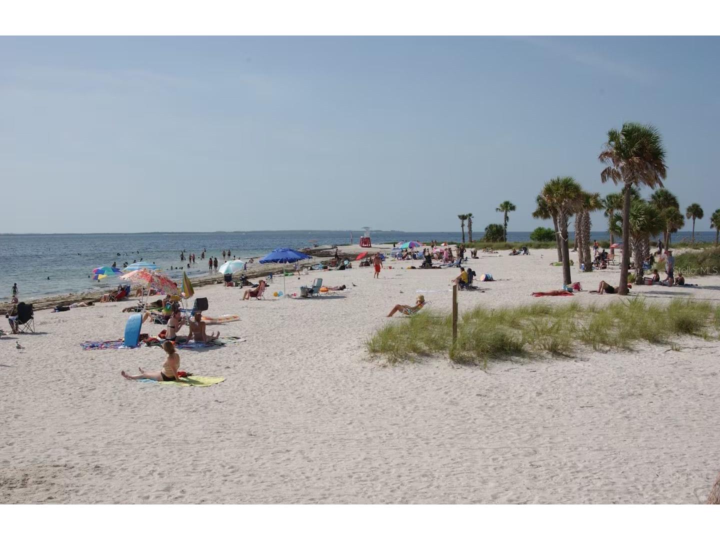 5635 Montana Avenue New Port Richey FL 34652 W7887260 image34