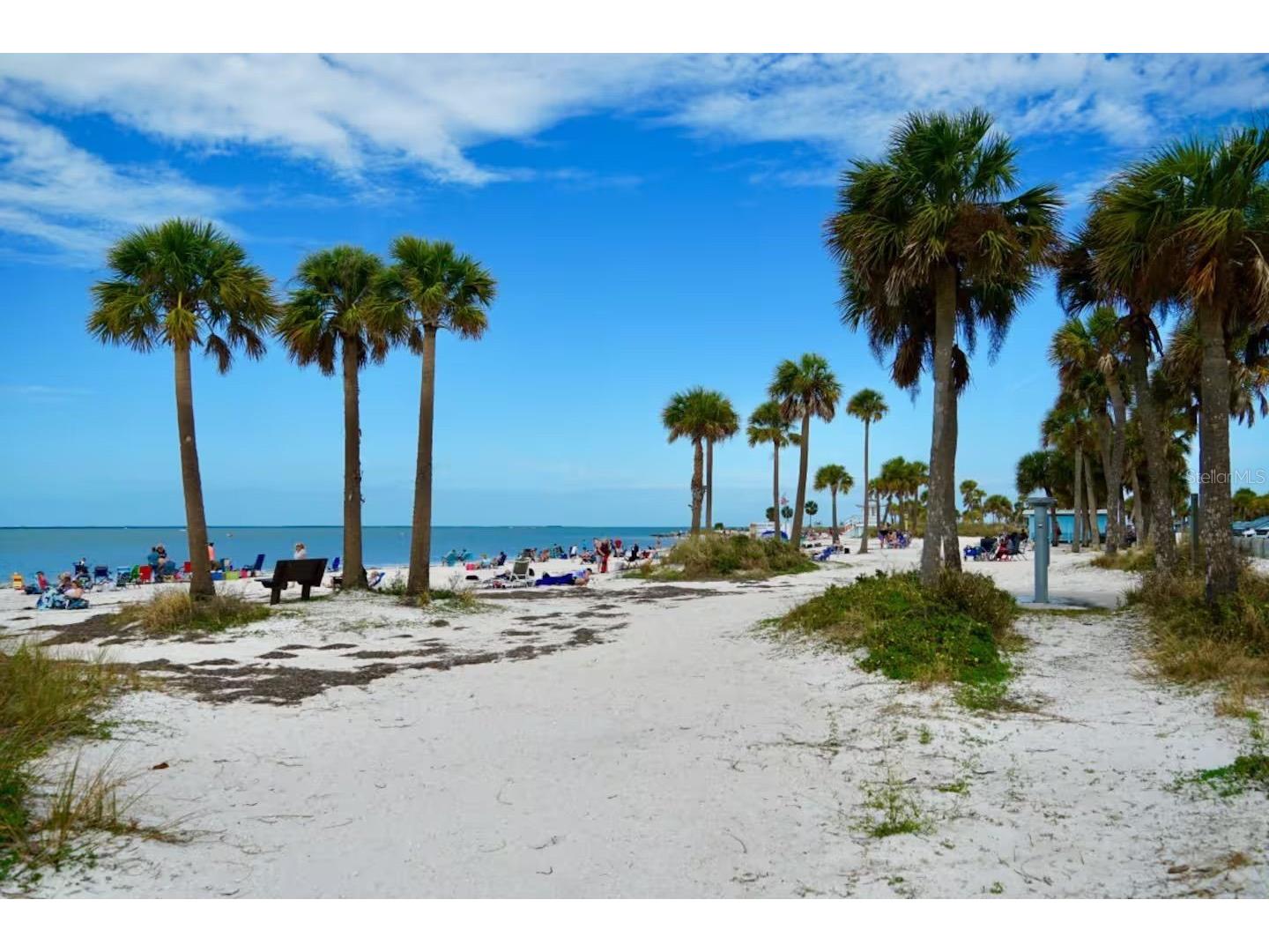 5635 Montana Avenue New Port Richey FL 34652 W7887260 image35