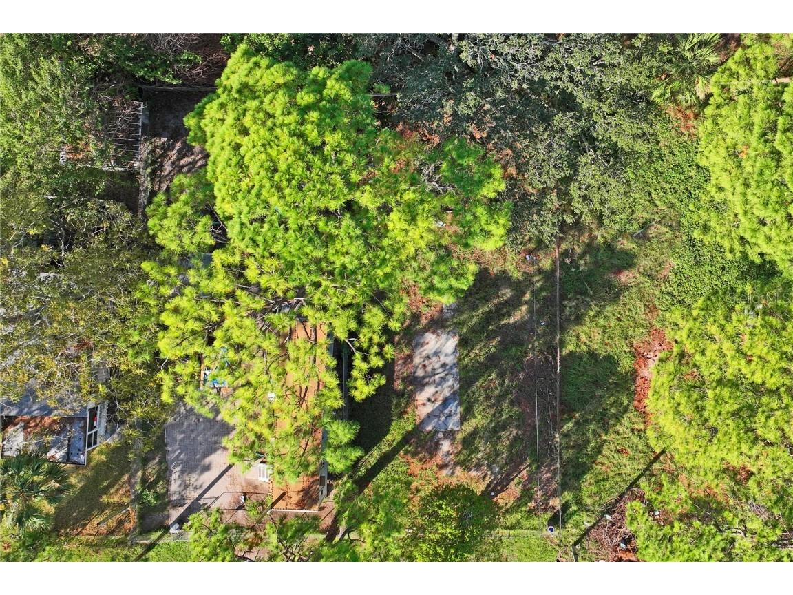 5635 Van Doren Ave New Port Richey FL 34652 W7869756 image19