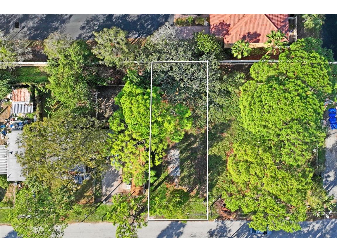 5635 Van Doren Ave New Port Richey FL 34652 W7869756 image4