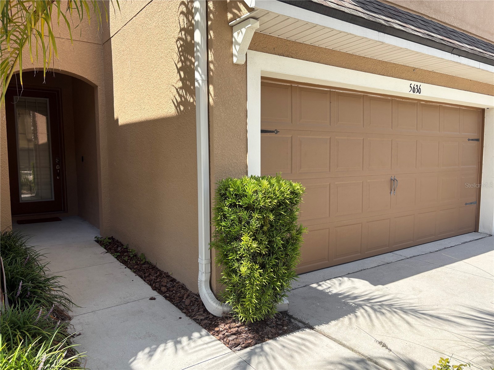 5636 Grand Sonata Avenue Lutz FL 33558 TB8523996 image2