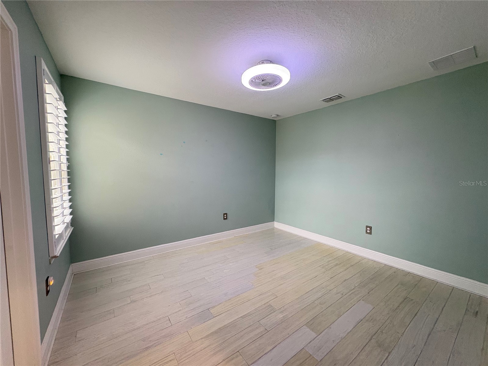 5636 Grand Sonata Avenue Lutz FL 33558 TB8523996 image33