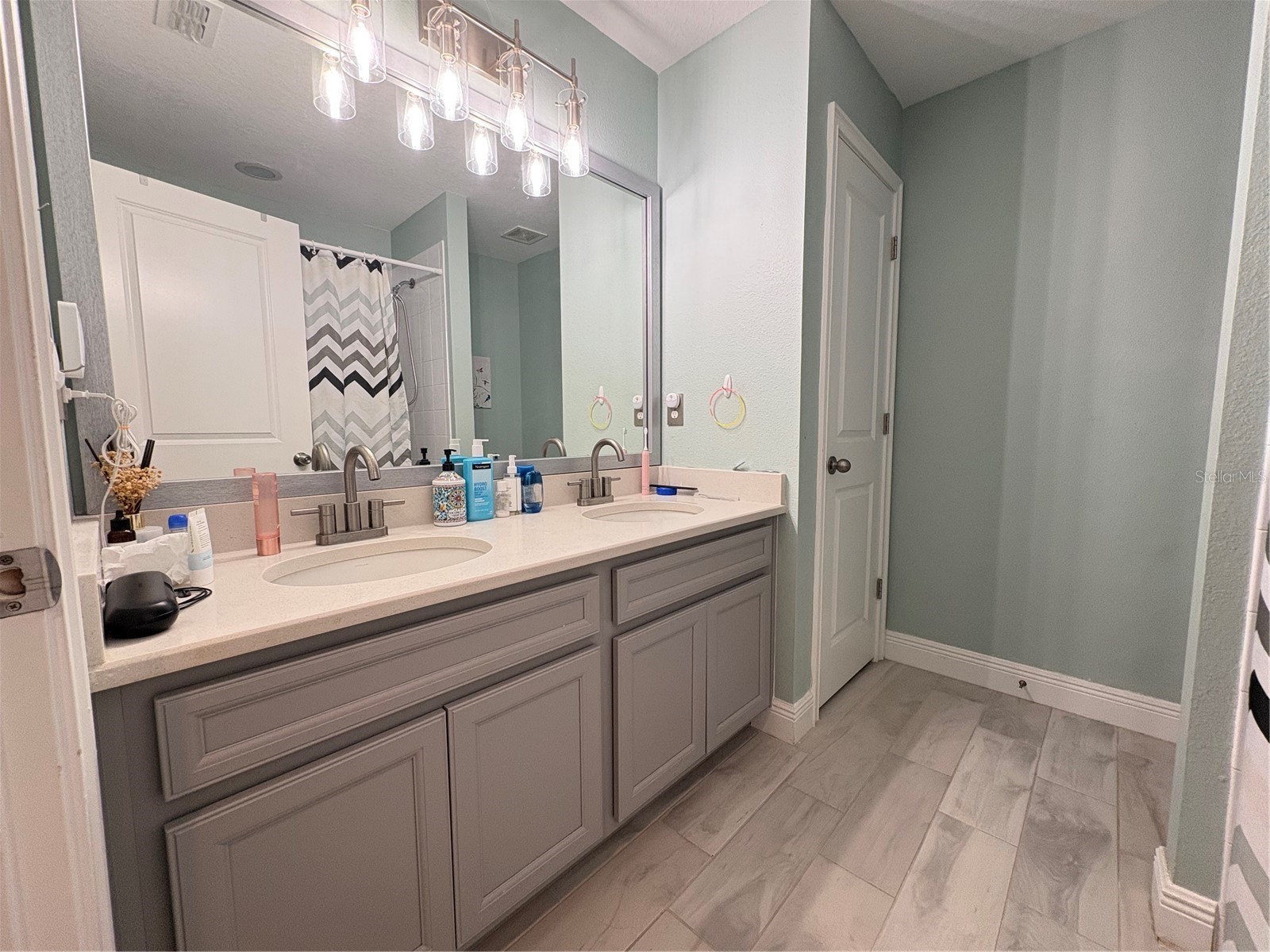 5636 Grand Sonata Avenue Lutz FL 33558 TB8523996 image35