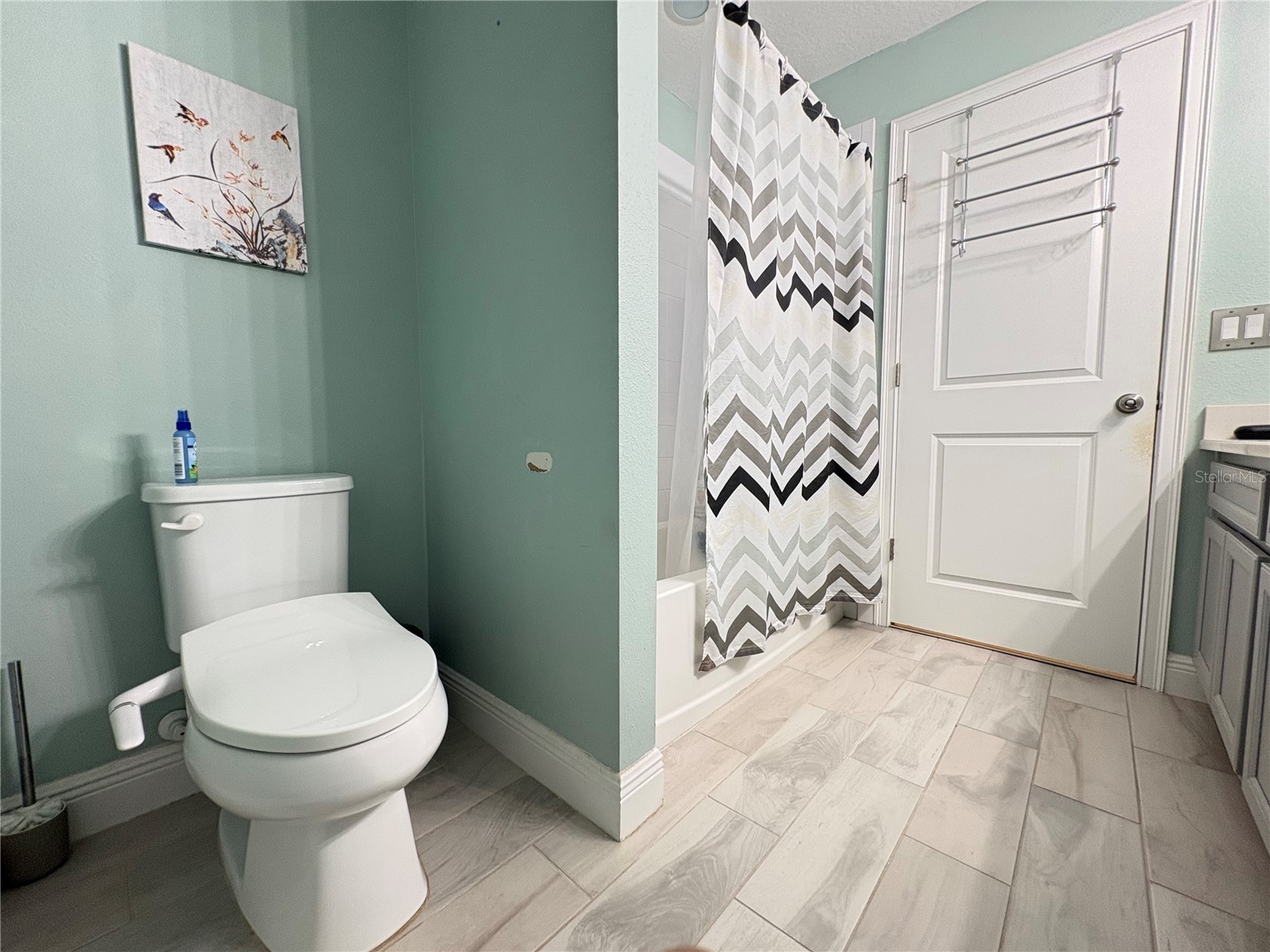 5636 Grand Sonata Avenue Lutz FL 33558 TB8523996 image36