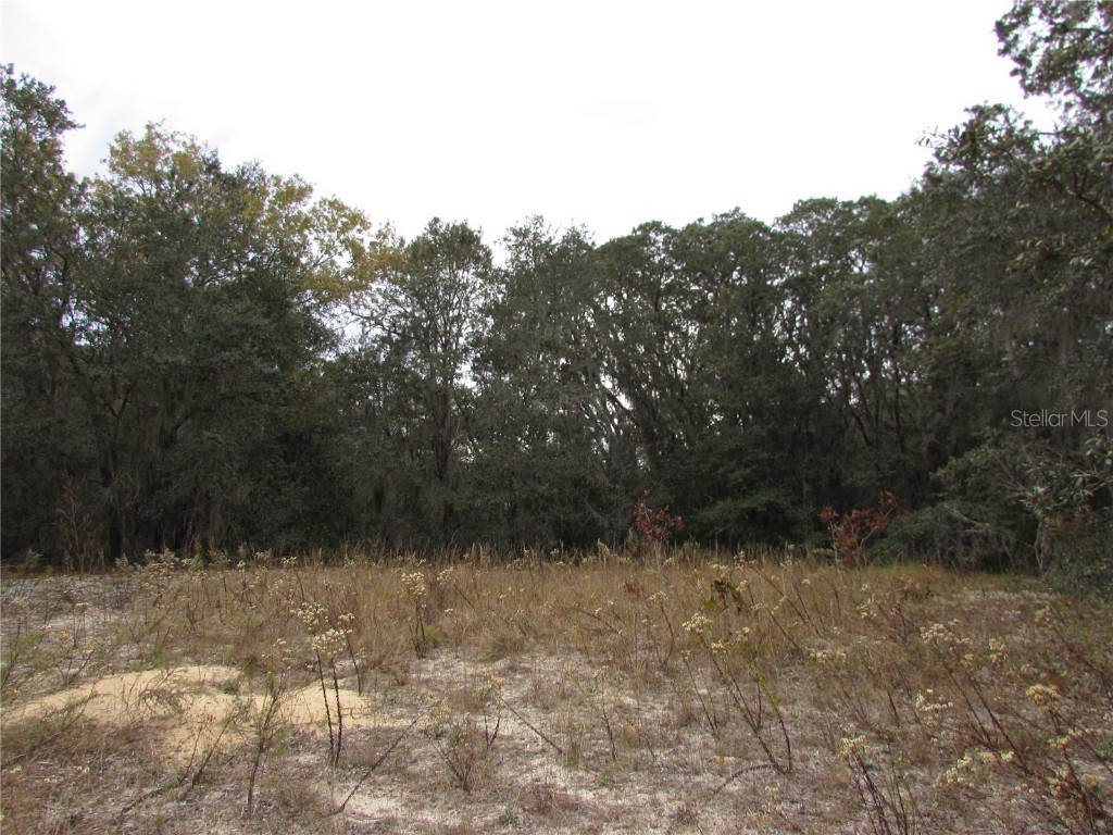 5636 W Junior Lane Dunnellon FL 34433 OM669170 image1