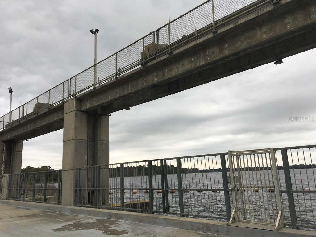 5636 W Junior Lane Dunnellon FL 34433 O6390814 image14