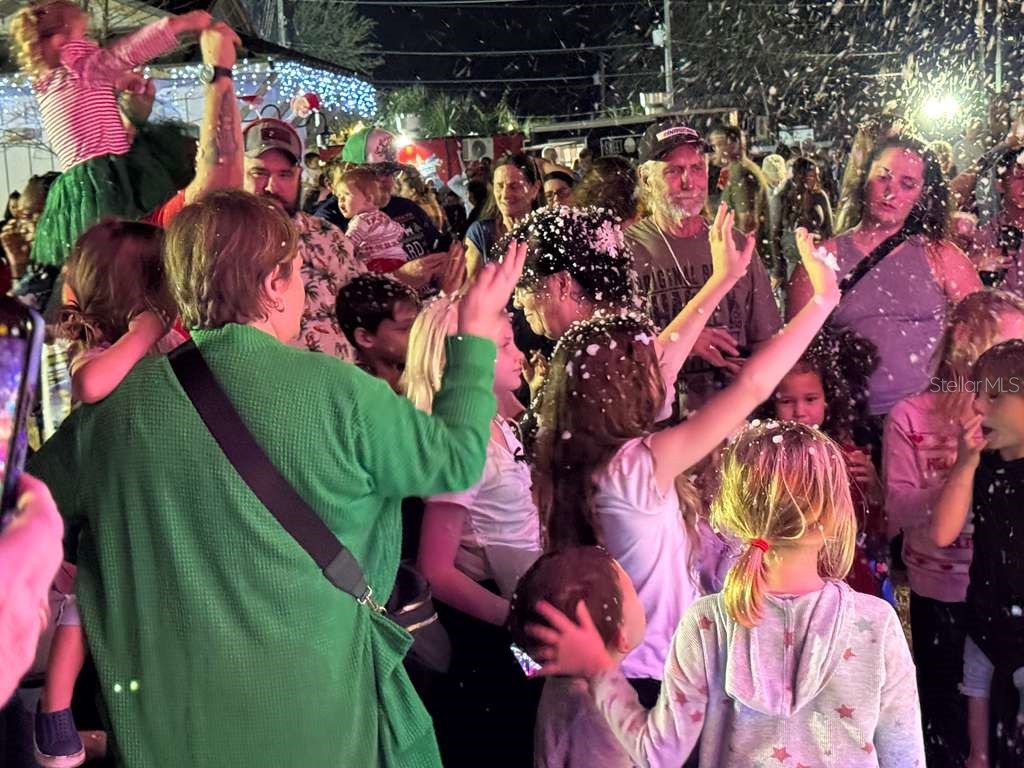 5636 W Junior Lane Dunnellon FL 34433 O6390814 image4